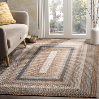 Safavieh Braided BRD313A Brown / Multi Area Rug Room Scene Feature