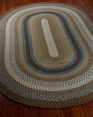 Safavieh Braided BRD313A Brown / Multi Area Rug Round