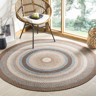 Safavieh Braided BRD313A Brown / Multi Area Rug Room Scene Feature