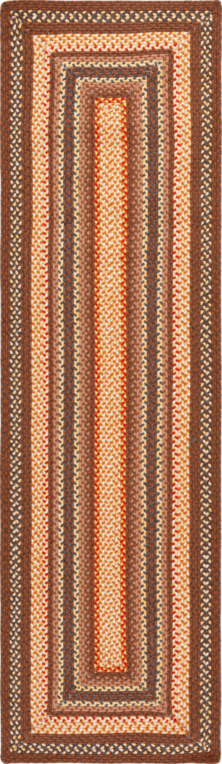 Safavieh Braided BRD313T Brown / Light Machine Washable Area Rug Runner