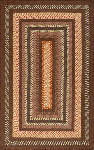 Safavieh Braided BRD313T Brown / Light Machine Washable Area Rug main image