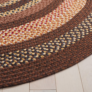 Safavieh Braided BRD313T Brown / Light Machine Washable Area Rug Detail