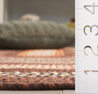 Safavieh Braided BRD313T Brown / Light Machine Washable Area Rug Detail