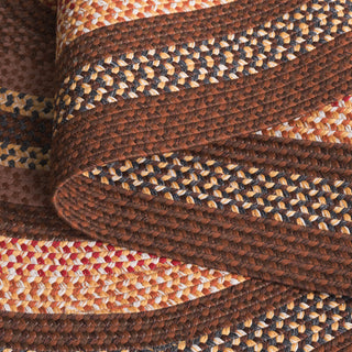 Safavieh Braided BRD313T Brown / Light Machine Washable Area Rug Fold