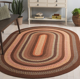 Safavieh Braided BRD313T Brown / Light Machine Washable Area Rug Room Scene Feature