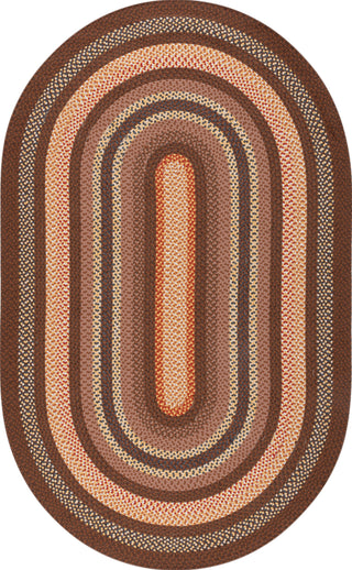 Safavieh Braided BRD313T Brown / Light Machine Washable Area Rug Oval