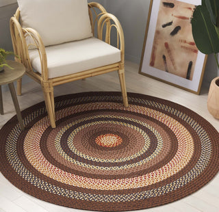 Safavieh Braided BRD313T Brown / Light Machine Washable Area Rug Room Scene Feature