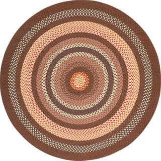 Safavieh Braided BRD313T Brown / Light Machine Washable Area Rug Round