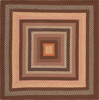 Safavieh Braided BRD313T Brown / Light Machine Washable Area Rug Square