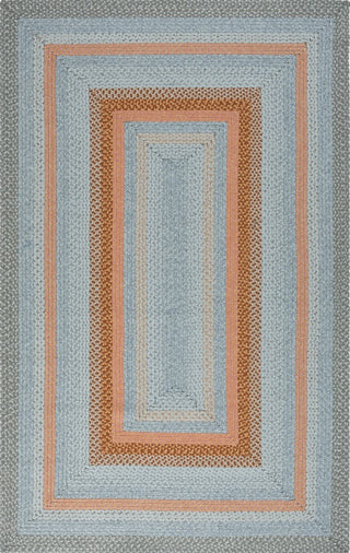 Safavieh Braided BRD314G Grey / Rust Area Rug main image