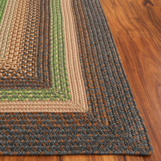 Safavieh Braided BRD314T Brown / Green Area Rug Detail