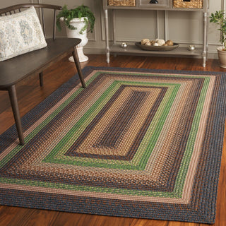 Safavieh Braided BRD314T Brown / Green Area Rug Room Scene Feature