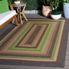 Safavieh Braided BRD314T Brown / Green Area Rug Room Scene