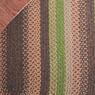 Safavieh Braided BRD314T Brown / Green Area Rug Detail