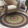 Safavieh Braided BRD314T Brown / Green Area Rug Room Scene Feature