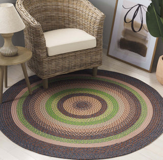 Safavieh Braided BRD314T Brown / Green Area Rug Room Scene Feature