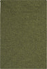 Safavieh Braided BRD315A Green Area Rug main image