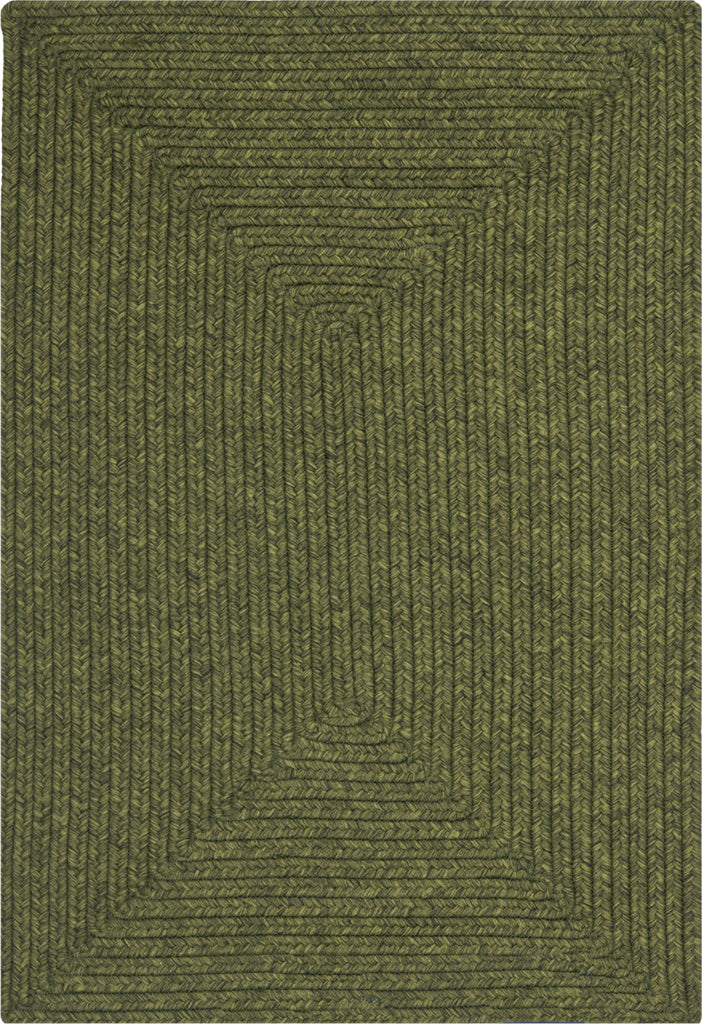 Safavieh Braided BRD315A Green Area Rug main image