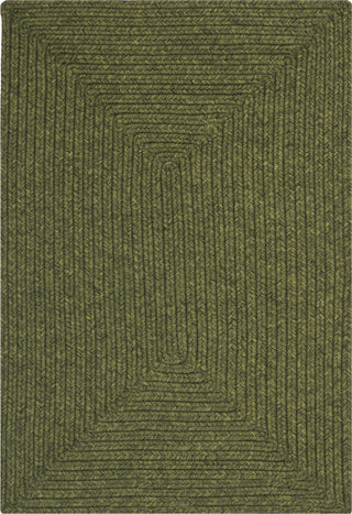 Safavieh Braided BRD315A Green Area Rug main image
