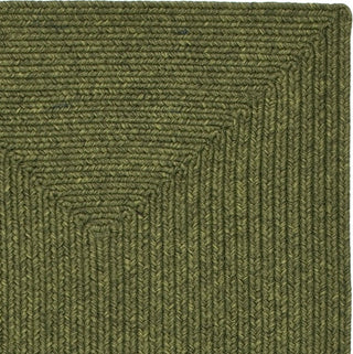 Safavieh Braided BRD315A Green Area Rug 
