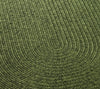 Safavieh Braided BRD315A Green Area Rug 