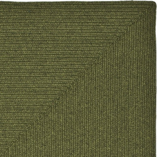 Safavieh Braided BRD315A Green Area Rug 
