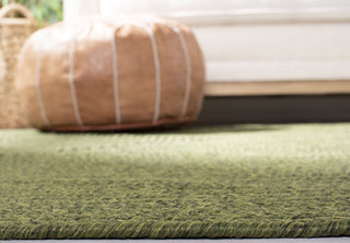 Safavieh Braided BRD315A Green Area Rug Detail