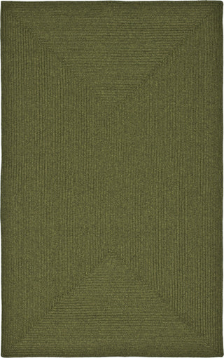 Safavieh Braided BRD315A Green Area Rug Main
