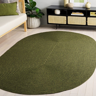 Safavieh Braided BRD315A Green Area Rug Room Scene