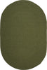 Safavieh Braided BRD315A Green Area Rug Oval