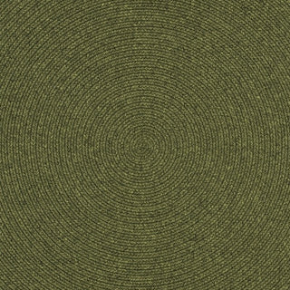 Safavieh Braided BRD315A Green Area Rug 