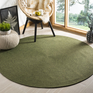 Safavieh Braided BRD315A Green Area Rug Room Scene Feature
