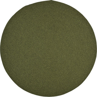 Safavieh Braided BRD315A Green Area Rug Round