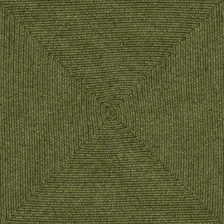 Safavieh Braided BRD315A Green Area Rug 