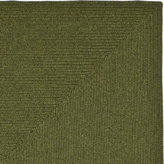Safavieh Braided BRD315A Green Area Rug 