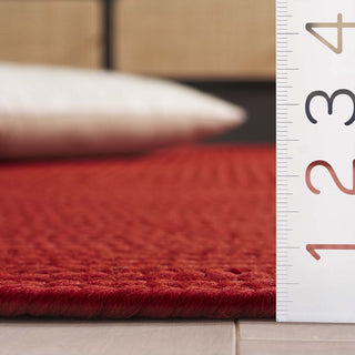 Safavieh Braided BRD315P Rust Area Rug Detail