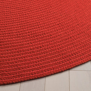 Safavieh Braided BRD315P Rust Area Rug Detail