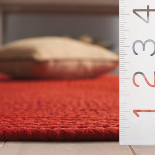 Safavieh Braided BRD315P Rust Area Rug Detail