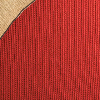 Safavieh Braided BRD315P Rust Area Rug Detail