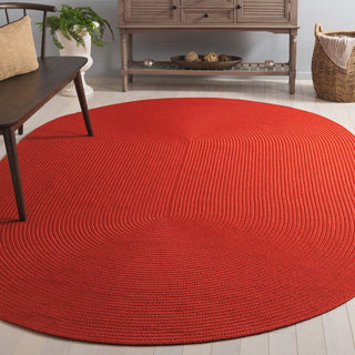 Safavieh Braided BRD315P Rust Area Rug Room Scene Feature