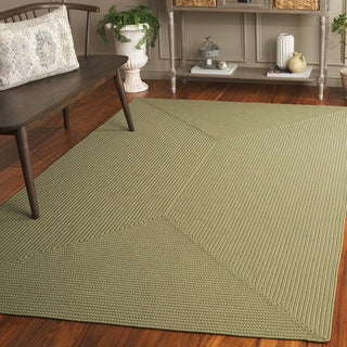 Safavieh Braided BRD315W Sage Machine Washable Area Rug Room Scene Feature