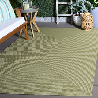 Safavieh Braided BRD315W Sage Machine Washable Area Rug Room Scene
