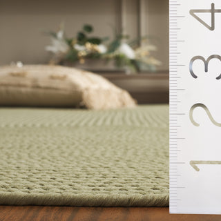 Safavieh Braided BRD315W Sage Machine Washable Area Rug Detail