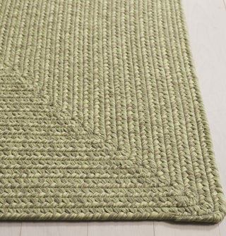 Safavieh Braided BRD317W Sage Area Rug Detail