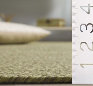 Safavieh Braided BRD317W Sage Area Rug Detail