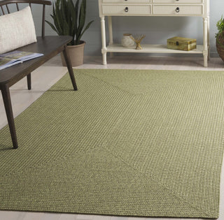 Safavieh Braided BRD317W Sage Area Rug Room Scene Feature