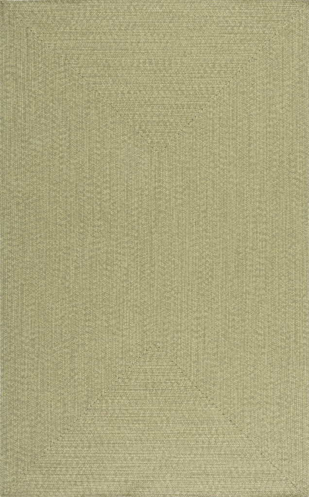 Safavieh Braided BRD317W Sage Area Rug main image