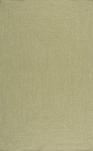 Safavieh Braided BRD317W Sage Area Rug main image
