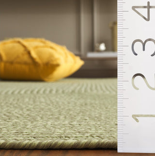Safavieh Braided BRD317W Sage Area Rug Detail