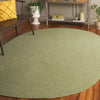 Safavieh Braided BRD317W Sage Area Rug Room Scene Feature